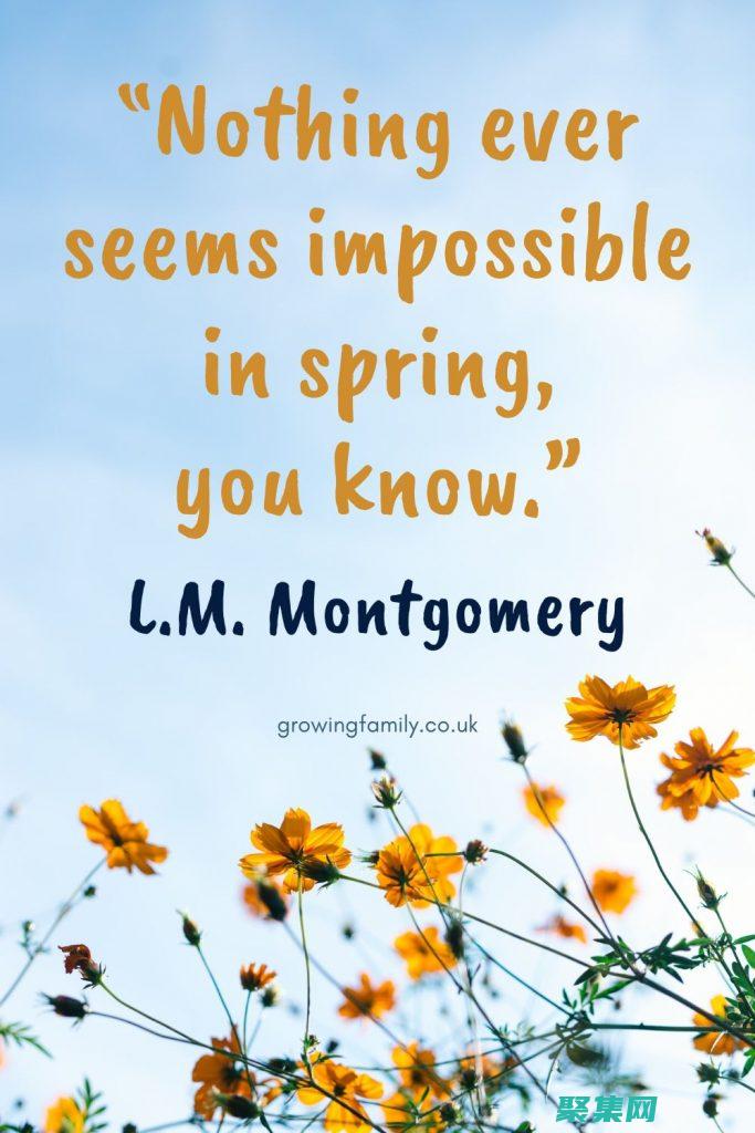 SpringMVC 實戰：創建動態且響應迅速的 Web 應用程序 (spring認證)