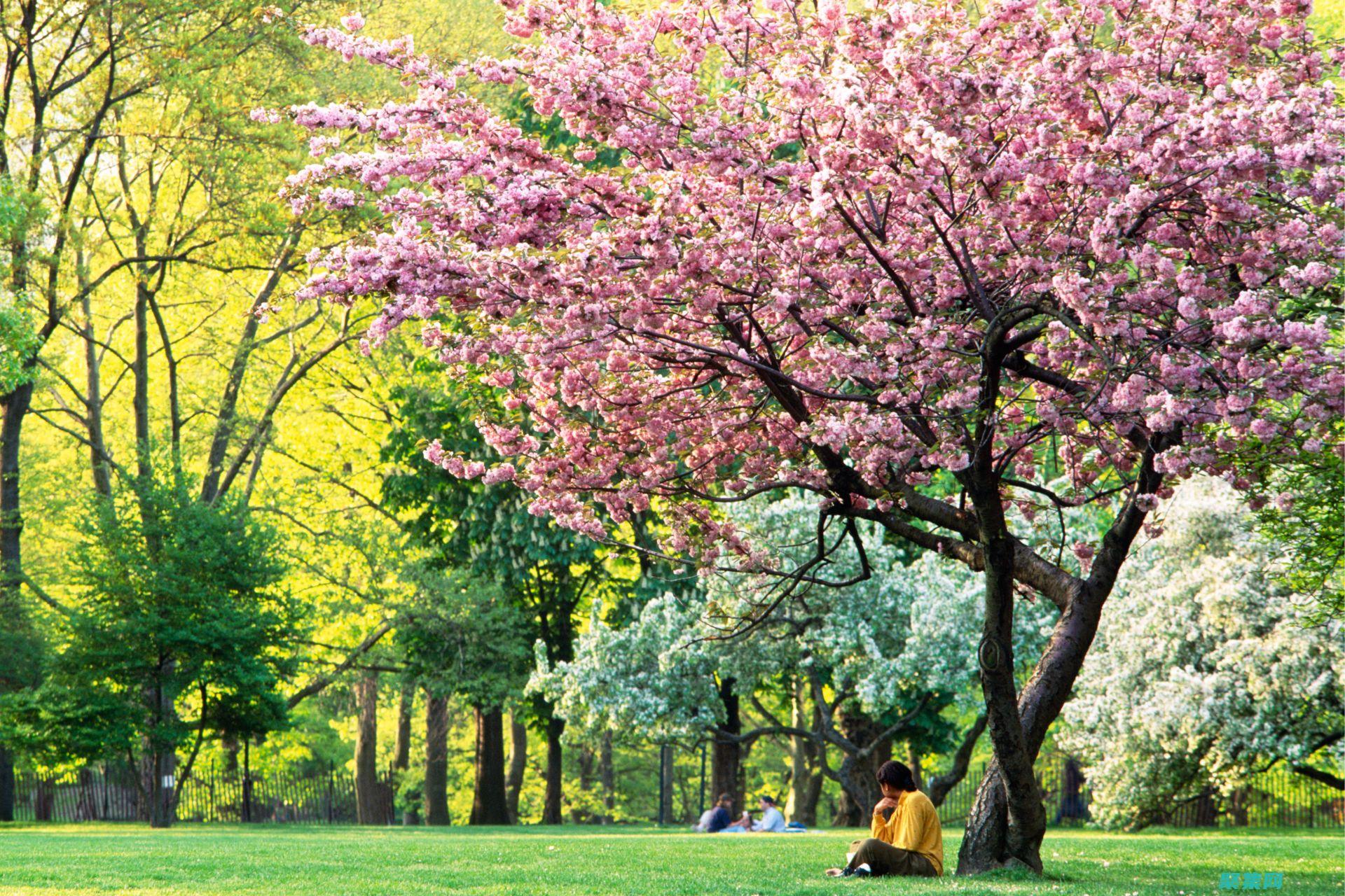 Spring MVC 在分布式系統的角色：實現可擴展和彈性的應用程序 (springboot)