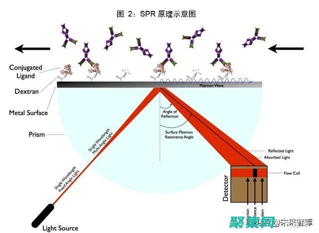 使用 Spring LDAP 實現 LDAP 身份驗證的深入教程 (使用spring可以實現聲明式事務嗎)