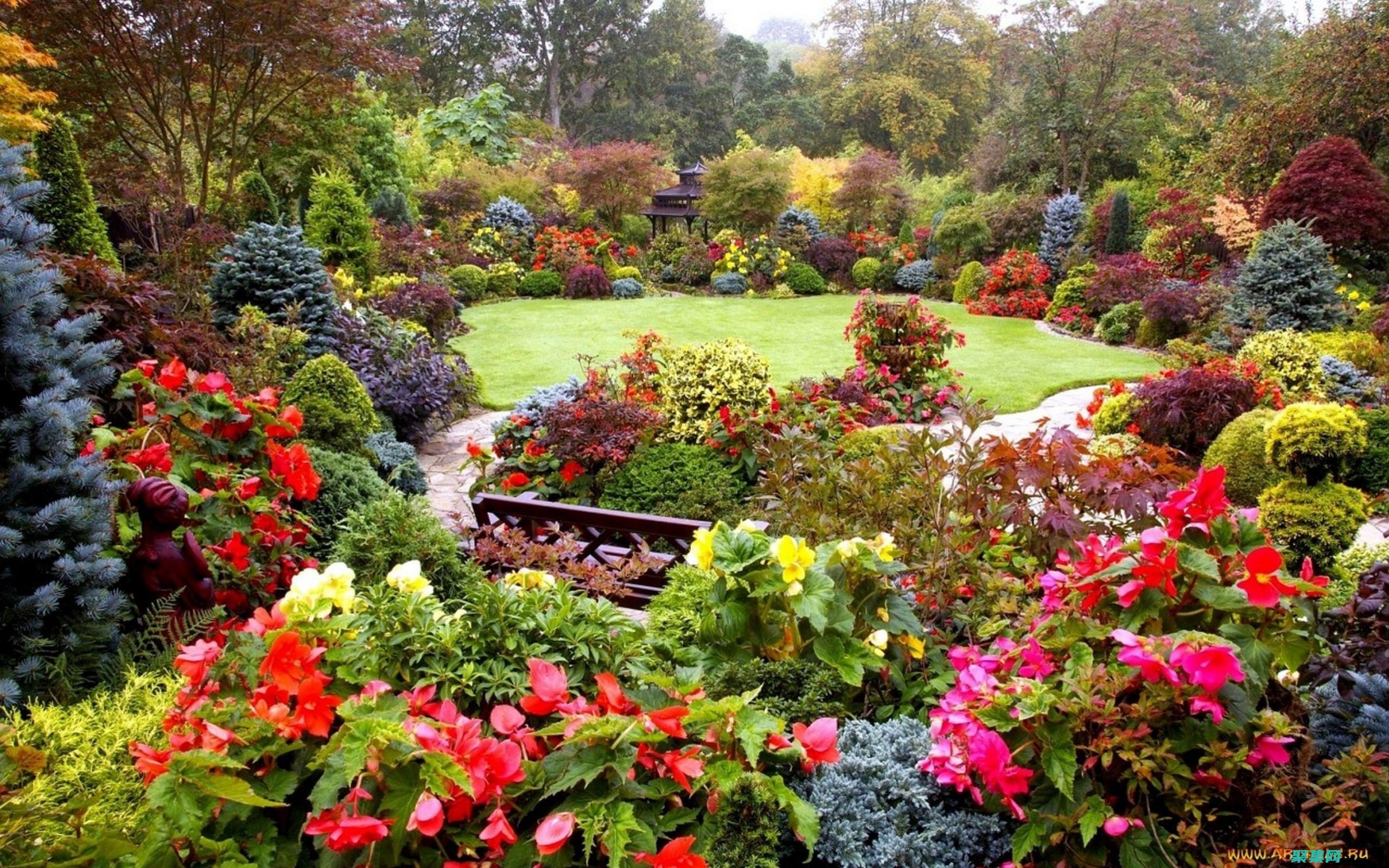 的故障排除指南