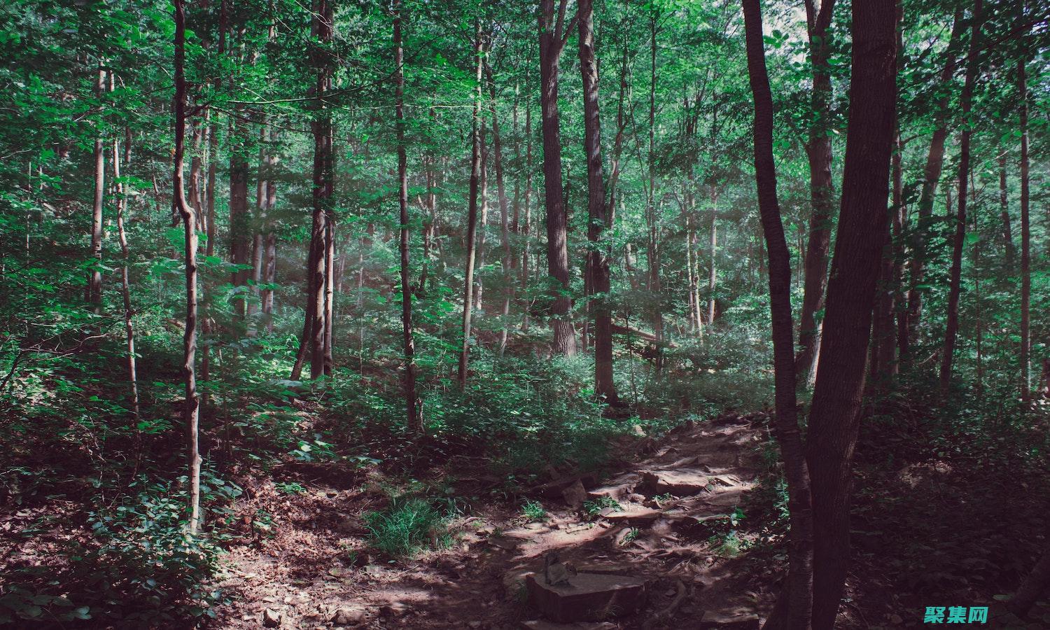 Bootstrap方法的全面指南：理解、使用和解讀結果 (bootstrap)