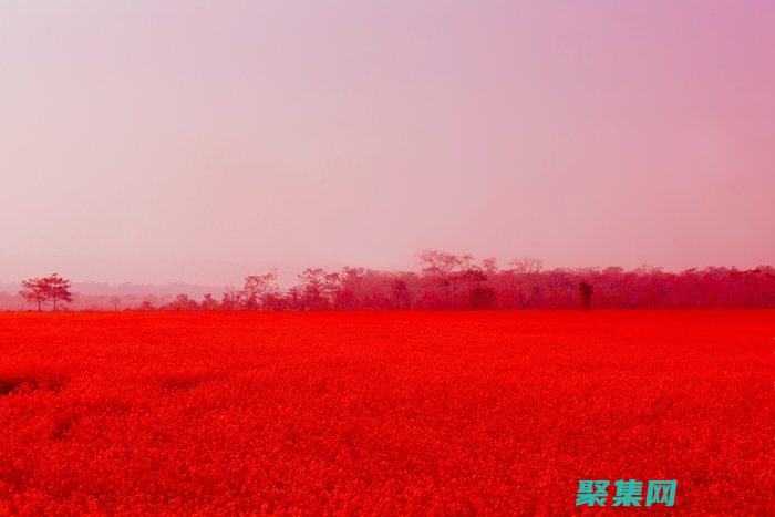 Red Hat Enterprise Linux 6.2：體驗更安全、更高效的操作系統 (redhat Linux)