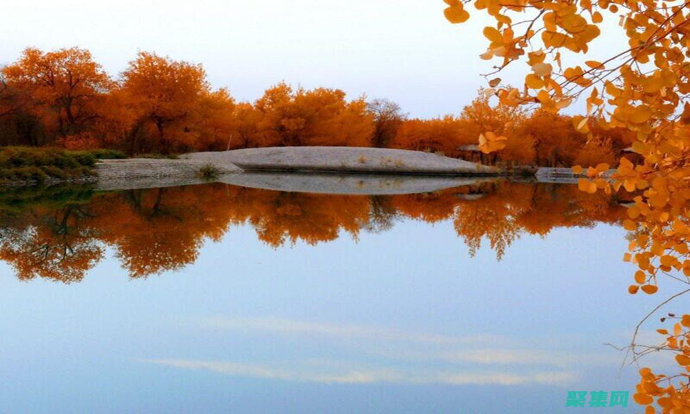 揭開 Zephyr 設置的奧秘：診斷和解決常見問題 (揭開怎么讀)