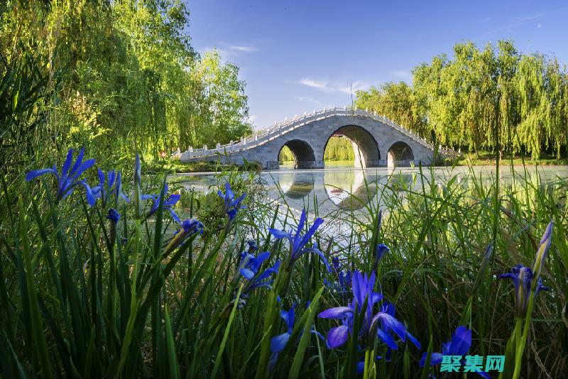 診斷和解決常見