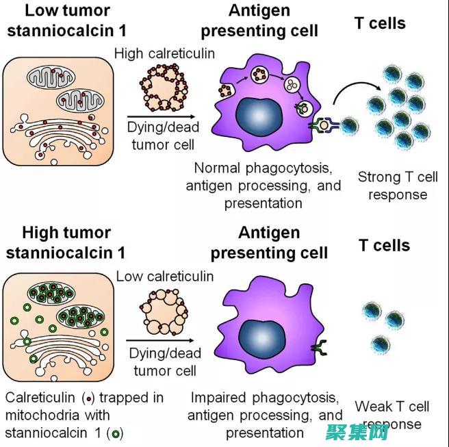 卓越的客戶關系管理系統的全面指南