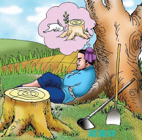 步步為營自己的偶像竟然是男朋友的親姐姐