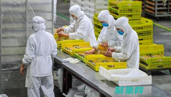 應用程序的完整教程