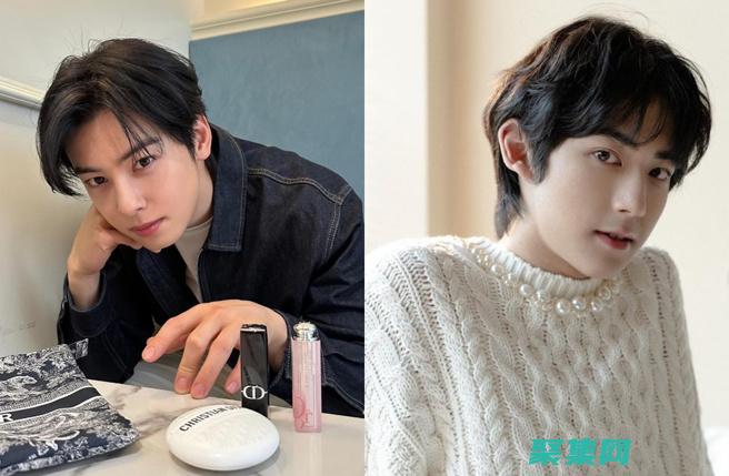 揭秘dedecms的強大功能：打造動態、交互式網站 (揭秘的德元升騙局)