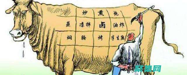 庖丁解牛字符串：使用 StringTokenizer 輕松分解文本數據 (庖丁解牛字符號是什么)