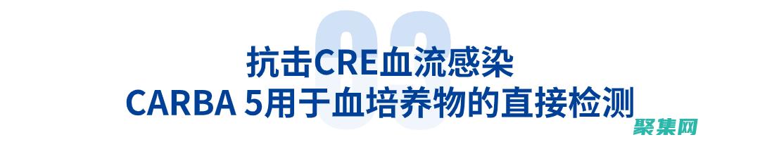 為圖形增添創意的終極指南