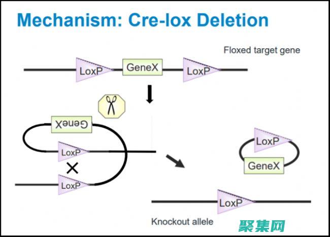 圖案筆刷的革命