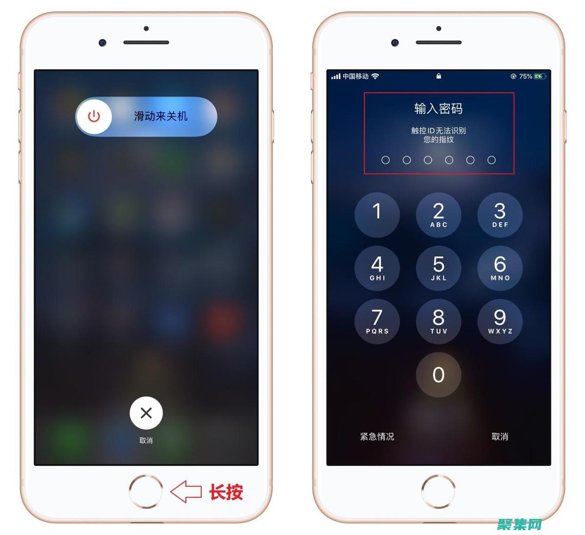 釋放tviewer的強大功能