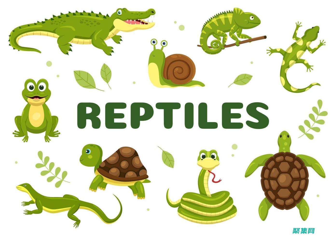 Restlet 與 Node.js 集成：為 JavaScript 開發人員打造 RESTful API (restless)