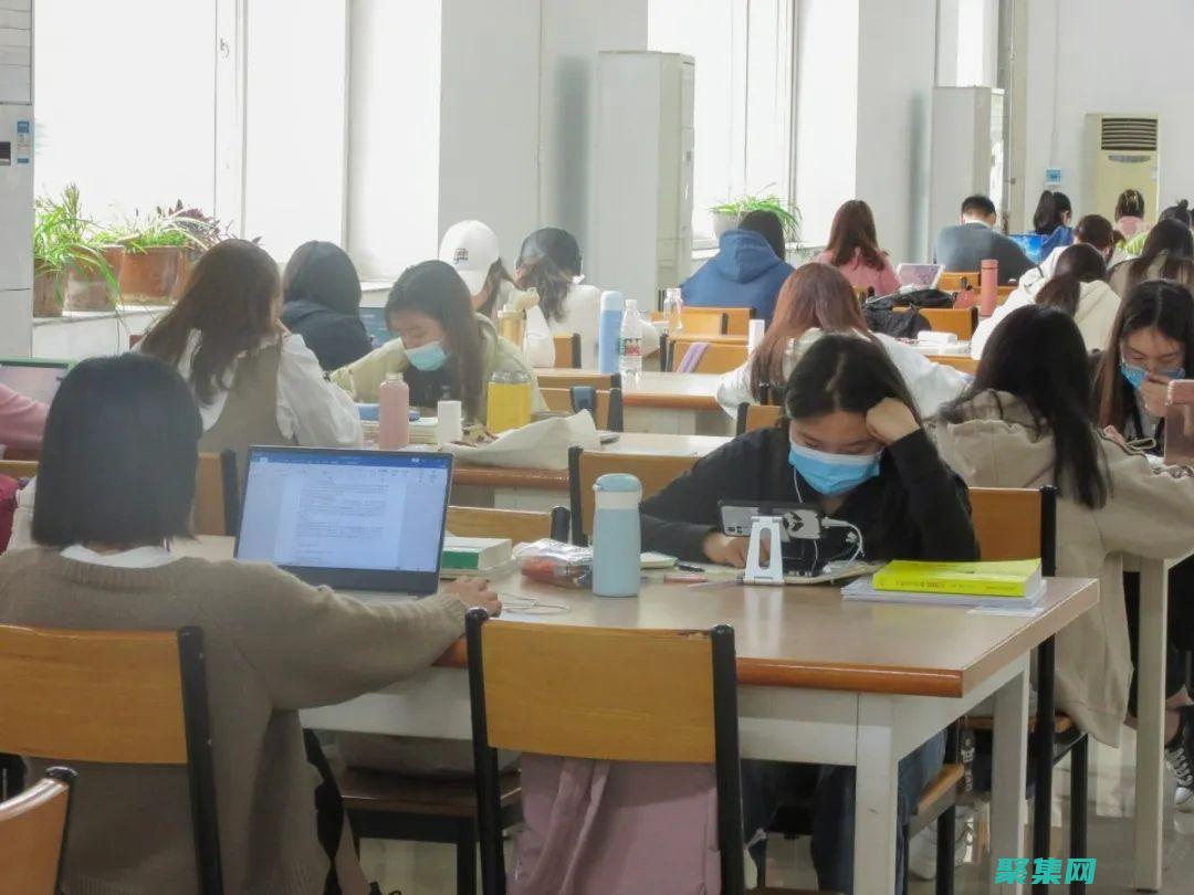 從初學者到專家的典型工作任務包括