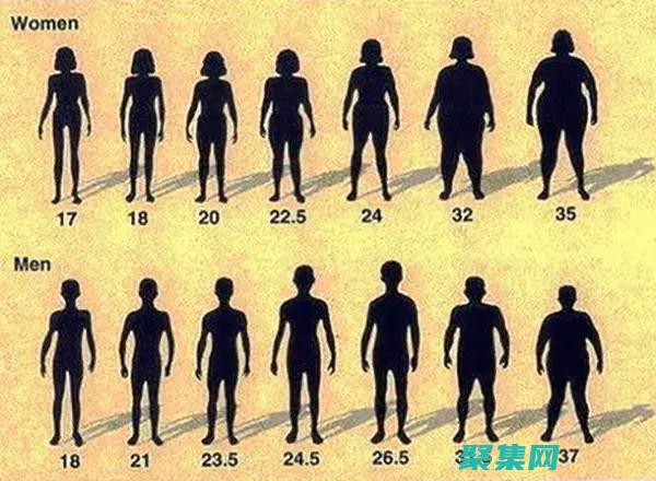 不同類型的接口