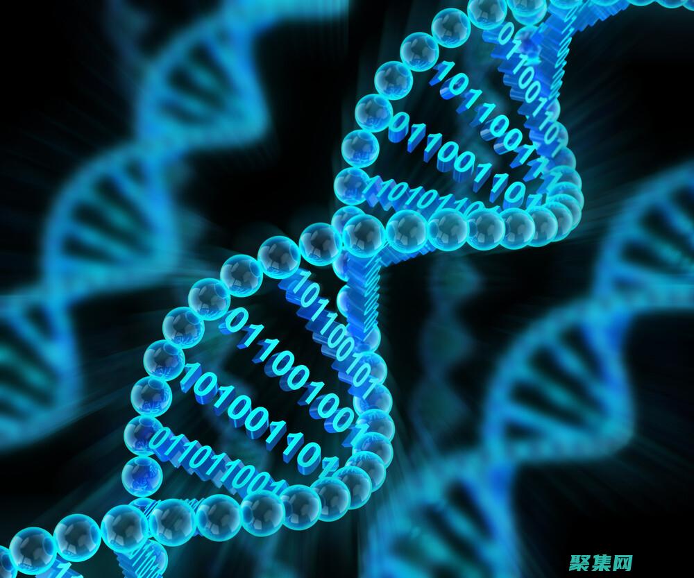 DatabaseLink：實現跨數據庫查詢的強大工具 (database)