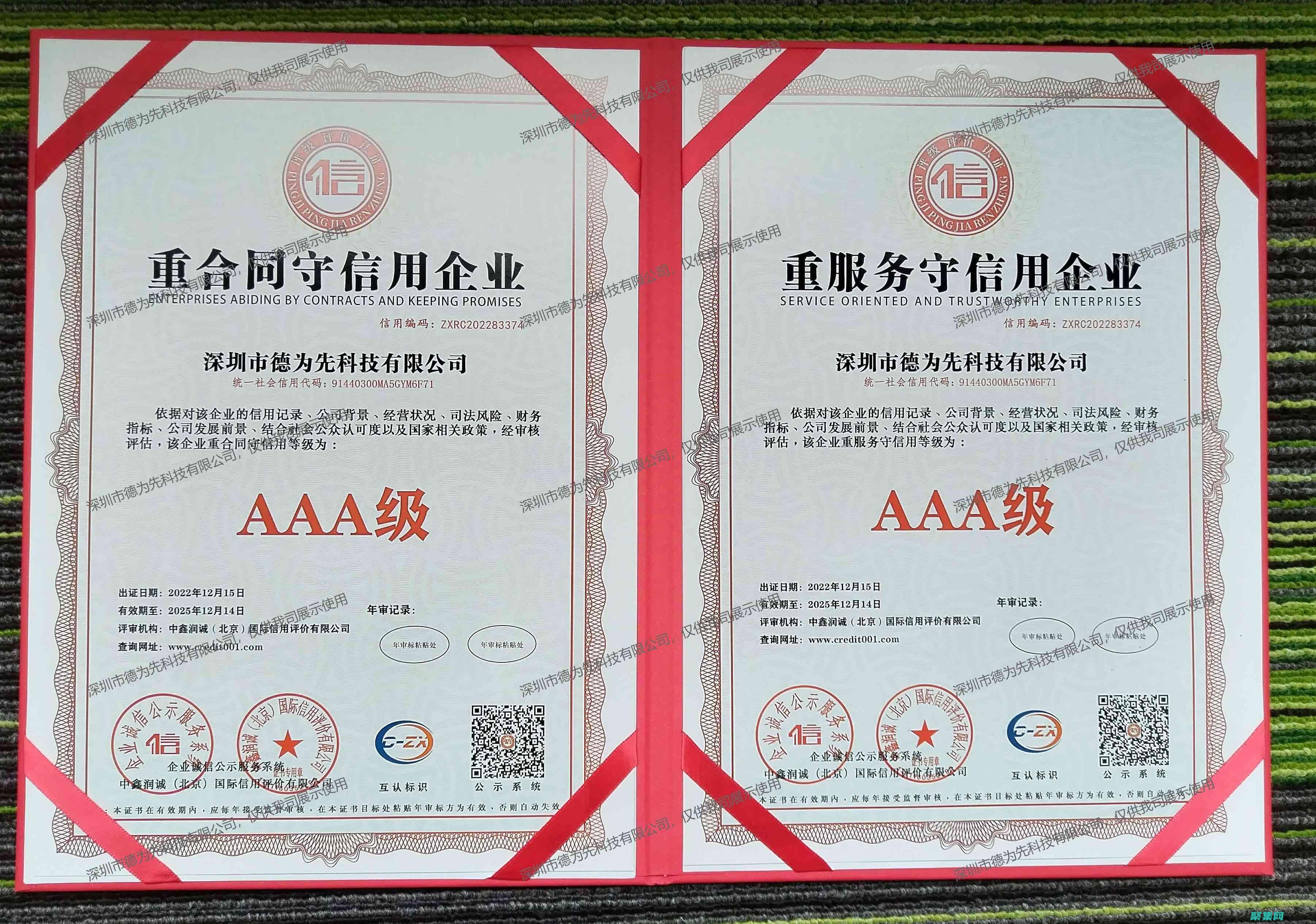 SSI資格標準：深入了解財務和身體要求 (ssi等級標準)