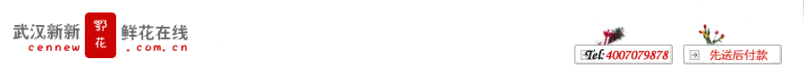 武漢花店,武漢鮮花,武漢送花訂花武漢市新新花店