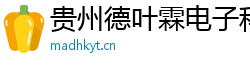 貴州德葉霖電子科技有限公司官網