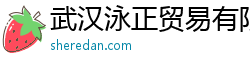 武漢泳正貿易有限公司