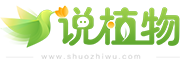 說植物-您身邊最靠譜的植物專家