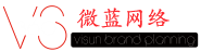 深圳市微藍網絡科技有限公司