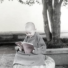 華嚴網絡-佛教網站建設，佛學文化網站設計工作室