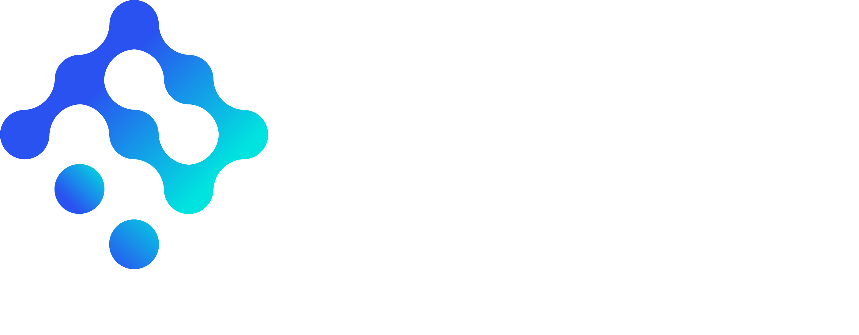 鵬智瑞-快消企業數字化解決方案服務商