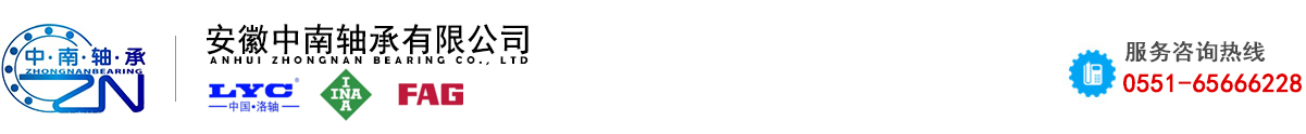 洛陽LYC軸承德國FAGINA軸承中南軸承有限公司
