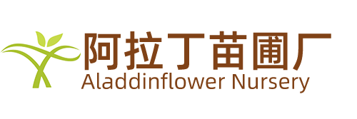 仙桃市阿拉丁苗圃廠-一家專門研發種植果樹盆栽的廠家