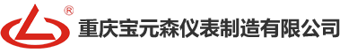 重慶寶元森儀表制造有限公司