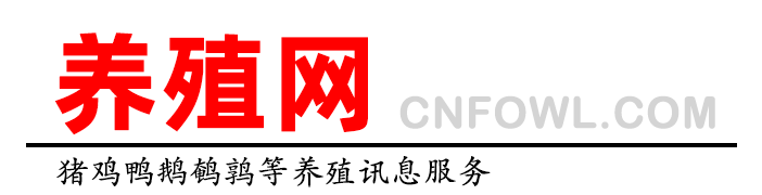 禽網-肉雞蛋雞 肉鴨蛋鴨 肉鵝 鵪鶉等禽養殖信息服務！