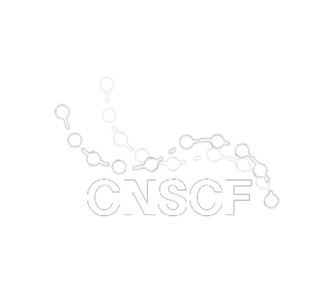 中國供應鏈金融網