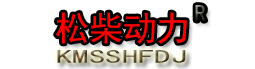 柴油發電機-柴油發電機組-上海揚柴發動機有限公司