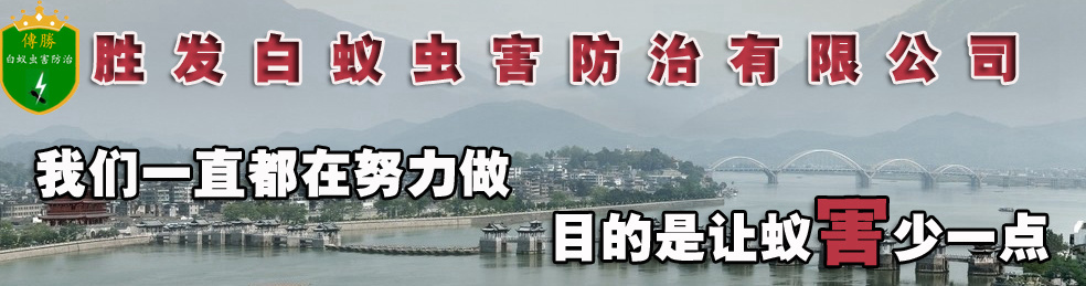 潮州白蟻防治,潮州白蟻預防,潮州除四害-潮州傳勝滅白蟻公司