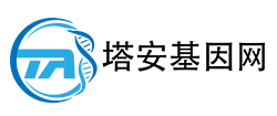 塔安基因檢測一站式服務 腫瘤 遺傳病專檢！