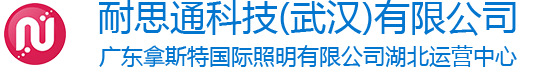 耐思通科技（武漢）有限公司