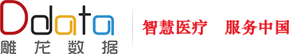 武漢雕龍數據科技有限公司 - 打造健康醫療數據資產應用鏈