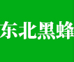 東北黑蜂蜜_饒河黑蜂蜜_椴樹蜜-饒河縣鄒氏東北黑蜂產品有限公司道外分公司
