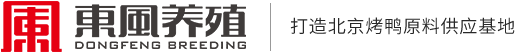 河北東風養殖有限公司_鴨坯,鴨副產品,鴨腸,鴨血