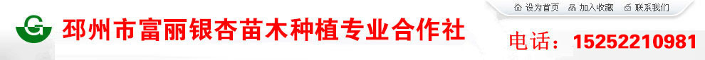 海棠價格-合歡-國槐-櫻花-法桐-銀杏樹-美國紅楓價格-邳州市富麗銀杏苗木