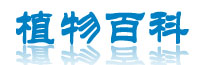 花蟻園藝生活-植物百科 植物藥用大學堂