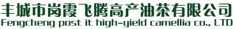 油茶樹苗-高產油茶樹苗-樹苗-苗圃基地-高產油茶-豐城市崗霞飛騰高產油茶有限公司