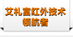 艾禮富安防科技有限公司-艾禮富安防