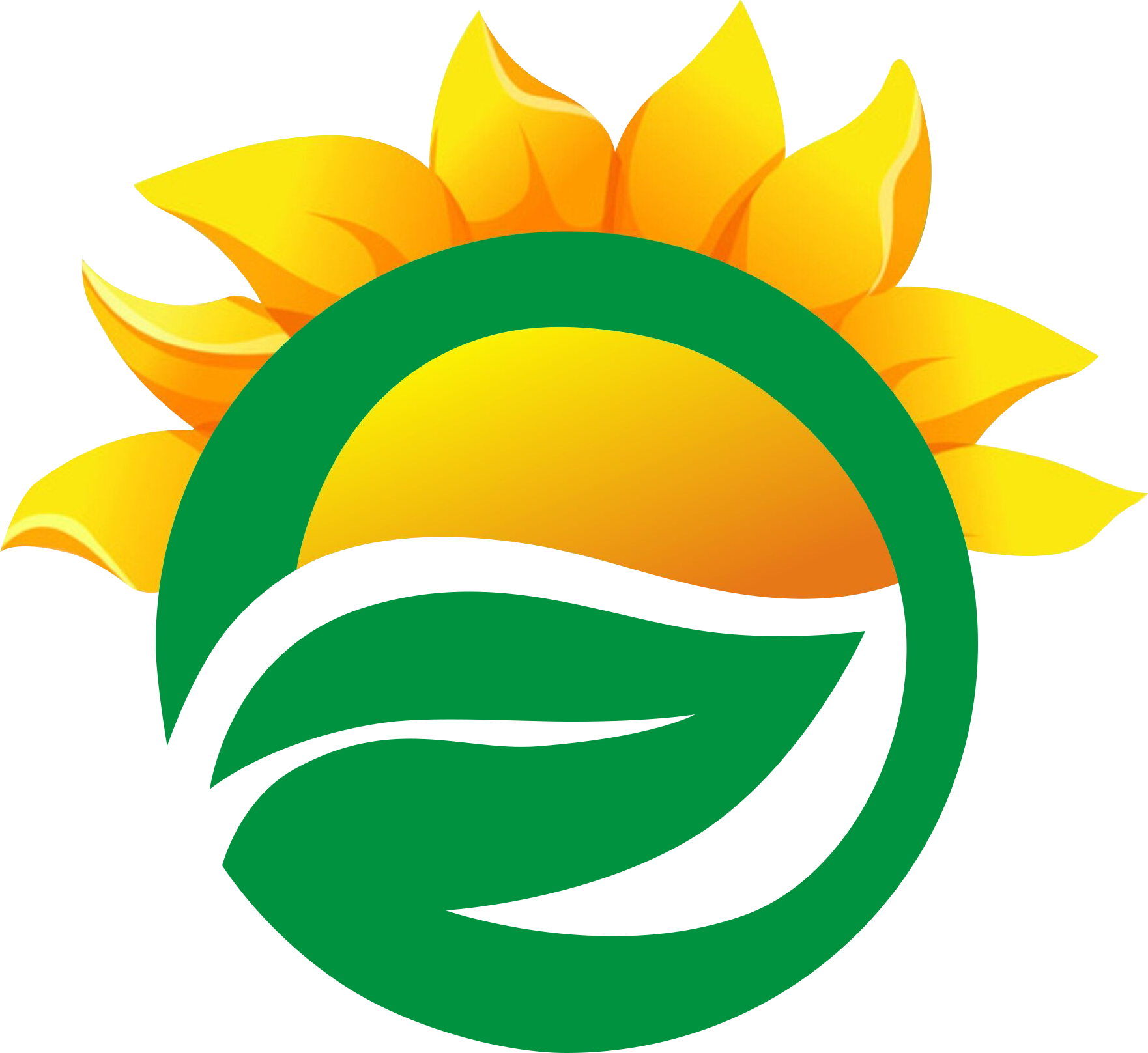 湖北天友藥業有限公司