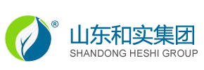 山東和實集團有限公司