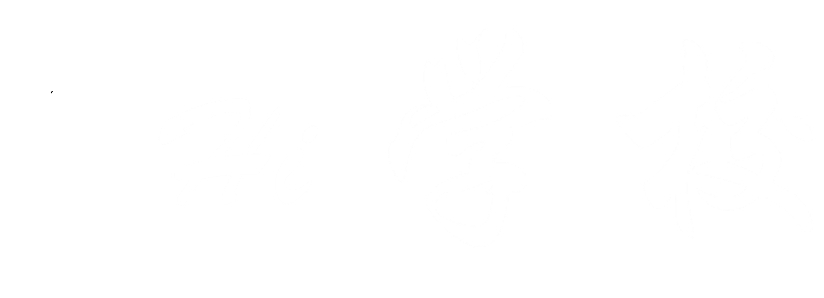 Hi學校_找學校,選學校,就用Hi學校_匯集全國幾十萬所學校_上百萬教育資訊_專業的一站式選學校平臺,致力于解決家長為孩子擇校煩惱