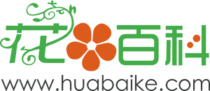 花百科 - 您身邊的養花專家