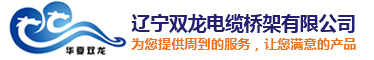 沈陽橋架廠-沈陽電纜橋架-沈陽電纜橋架生產廠家-遼寧雙龍電纜橋架有限公司